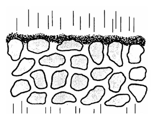 Filtration Mechanism